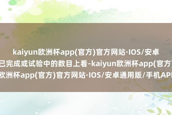 kaiyun欧洲杯app(官方)官方网站·IOS/安卓通用版/手机APP下载从已完成或试验中的数目上看-kaiyun欧洲杯app(官方)官方网站·IOS/安卓通用版/手机APP下载
