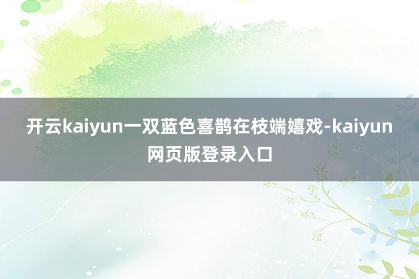 开云kaiyun一双蓝色喜鹊在枝端嬉戏-kaiyun网页版登录入口