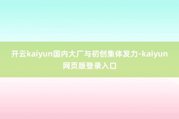 开云kaiyun国内大厂与初创集体发力-kaiyun网页版登录入口