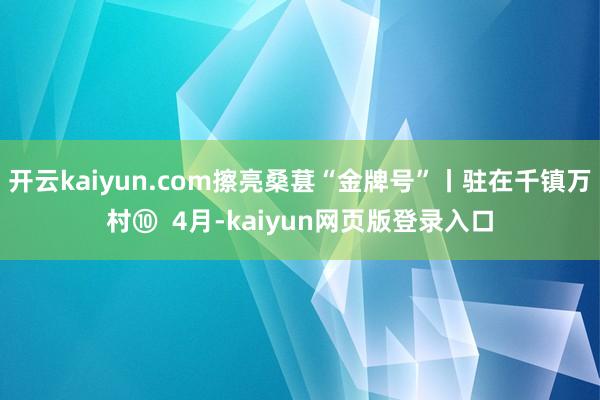 开云kaiyun.com擦亮桑葚“金牌号”丨驻在千镇万村⑩  4月-kaiyun网页版登录入口